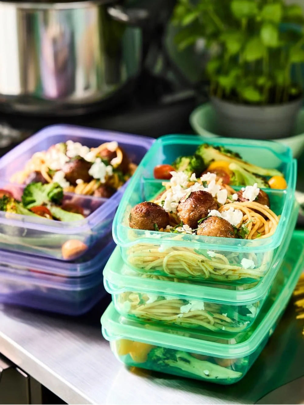Multi-Pack Colored Food Storage Containers (Purple, Green, Blue)